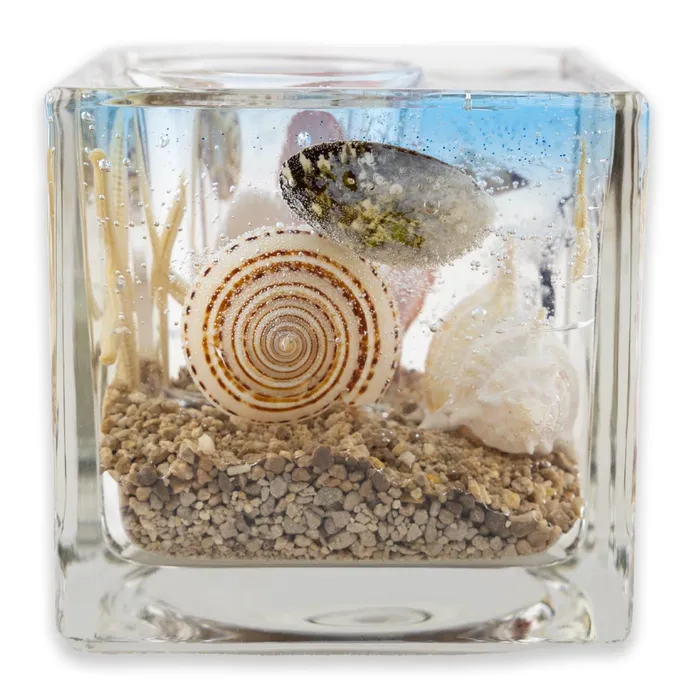 AROMA Aroma by K Kuu Hawaii Ocean Aquarium Candle Set Earrings