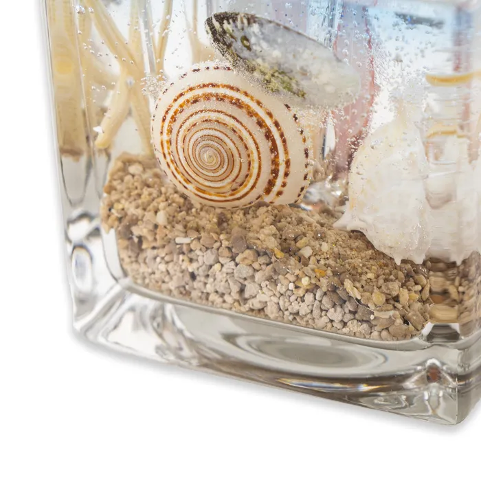 AROMA Aroma by K Kuu Hawaii Ocean Aquarium Candle Set Earrings
