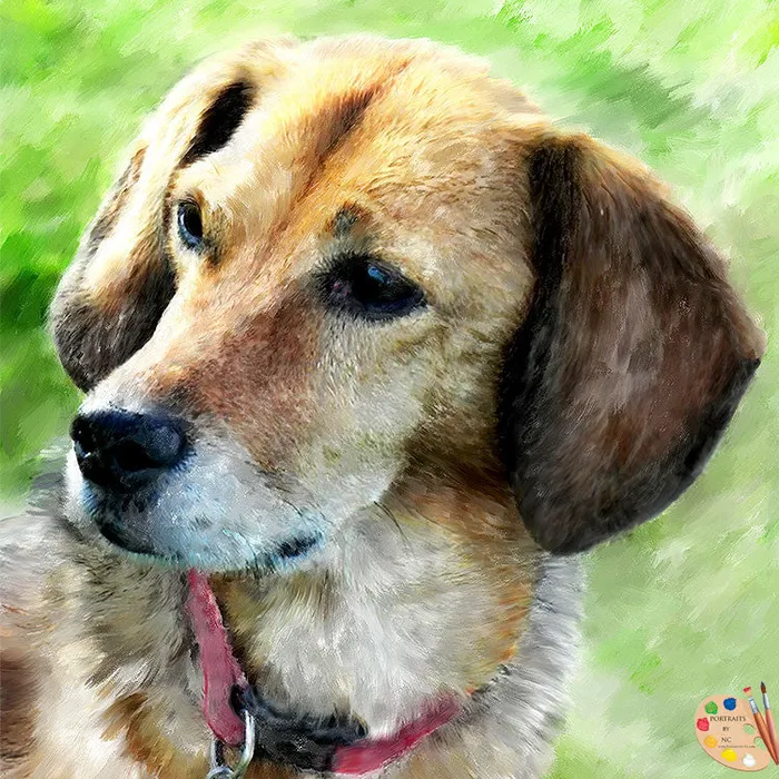 Beagle Dog Pet Portrait Digital Portrait Portraits by NC Earrings