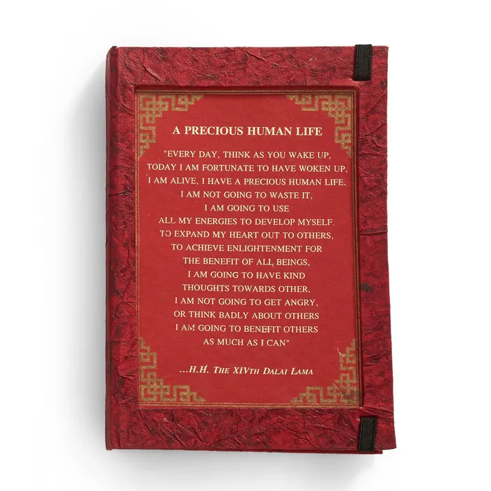 DC A Precious Human Life Journal Earrings