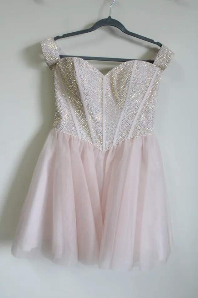 Earrings Alyce NEW Alyce Paris Corset Tulle French Pink Beaded Dress 10