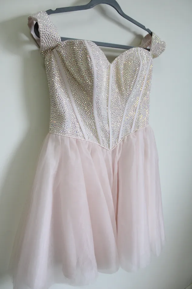 Earrings Alyce NEW Alyce Paris Corset Tulle French Pink Beaded Dress 10