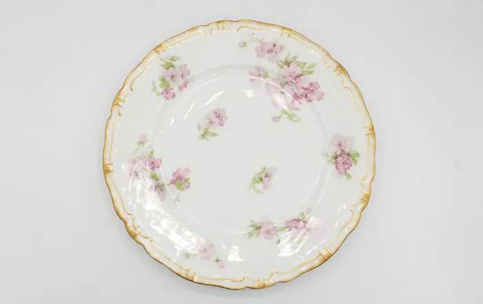 Earrings Jubilee Thrift Haviland Co Limoges France China Dessert Plate