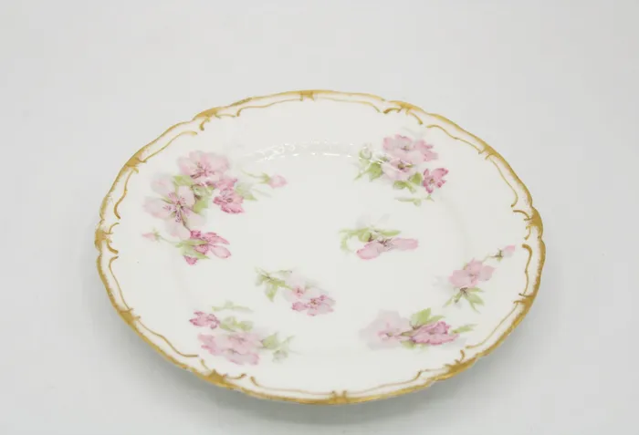 Earrings Jubilee Thrift Haviland Co Limoges France China Dessert Plate