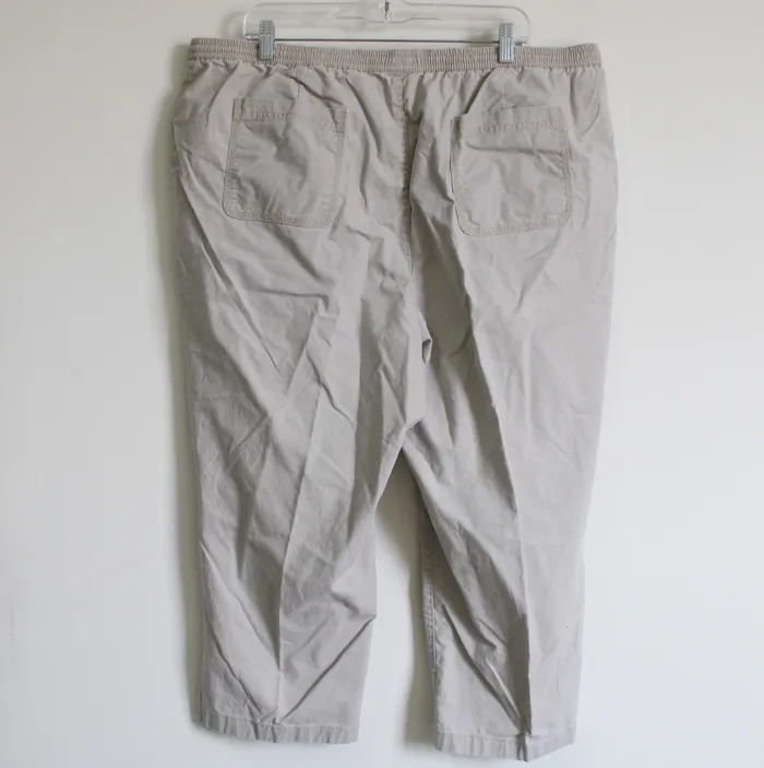 Earrings LL Bean LL Bean Classic Fit Tan Pants 20W