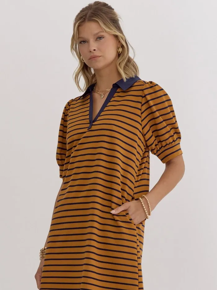 Entro Earrings Samantha Stripe Dress