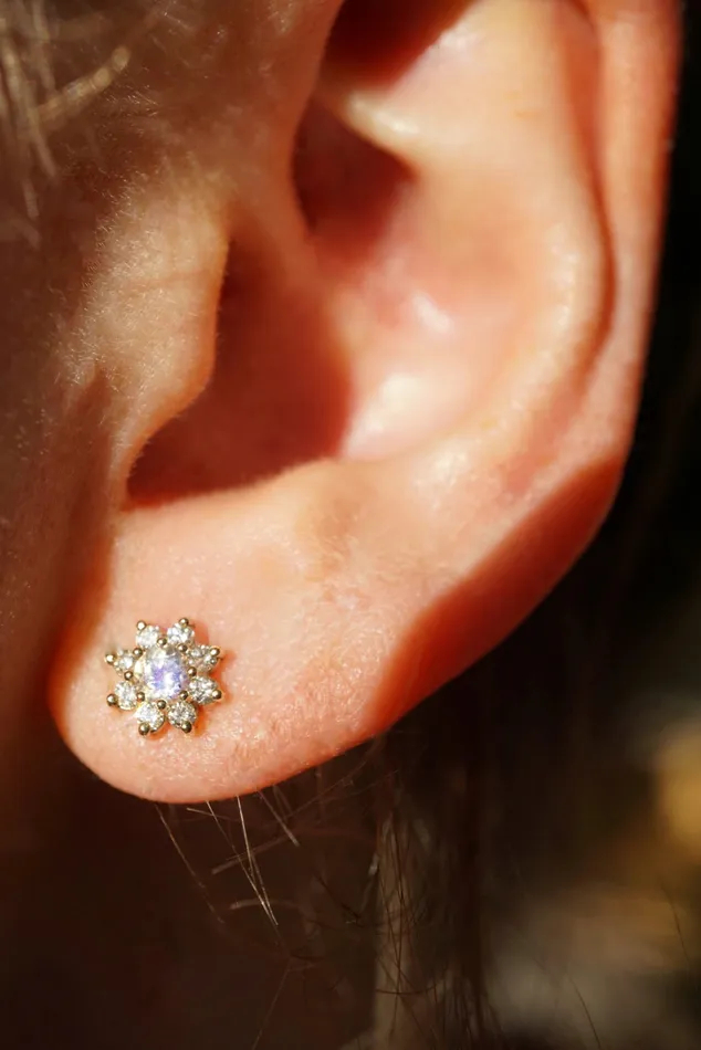 Foe Dear Earrings Bellis Studs Moonstone madetoorder
