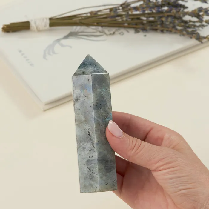 GEOCENTRAL Earrings Labradorite Tower