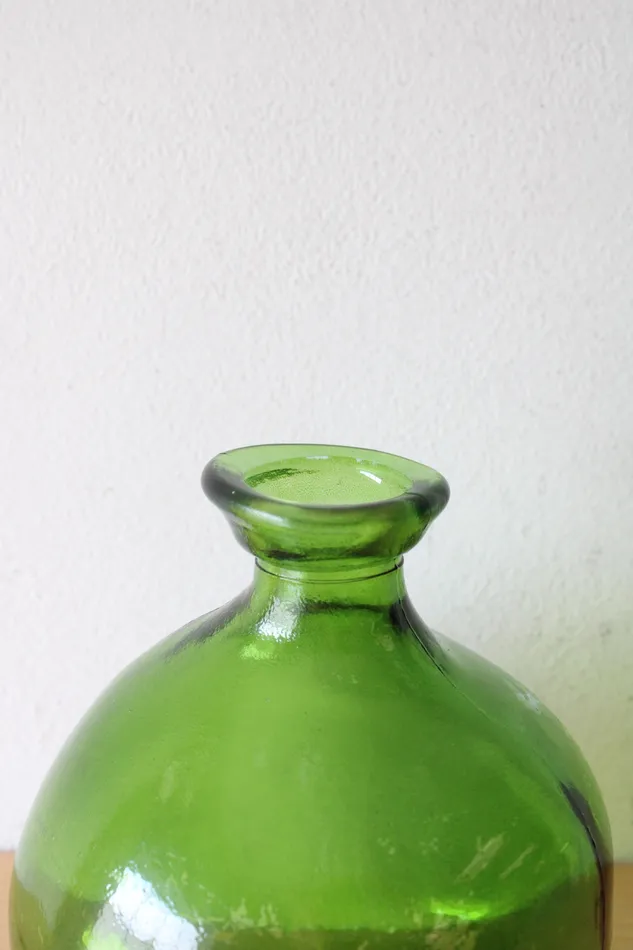 Jubilee Thrift Earrings Vidrios San Miguel Green Glass Bulb Vase
