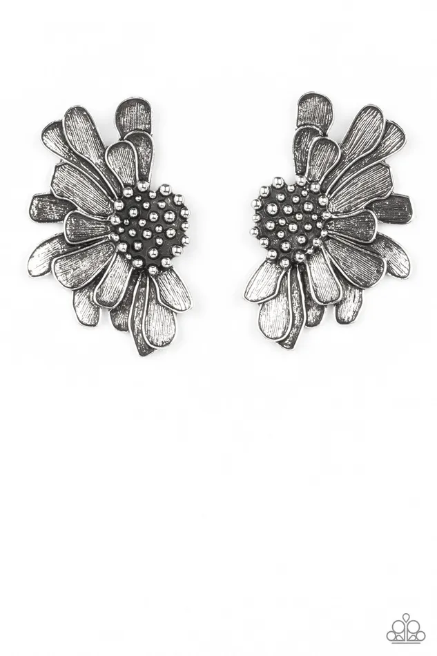 Paparazzi Accessories Rings Farmstead Meadow Silver