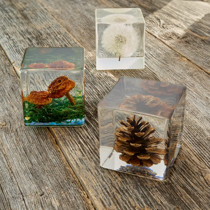 Paperweight Gift Set Chadds Ford Jewelry Earrings