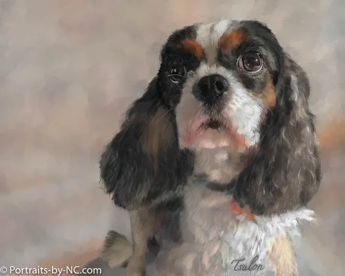 Portraits by NC Earrings Cavalier King Charles Dog Oil Portrait
