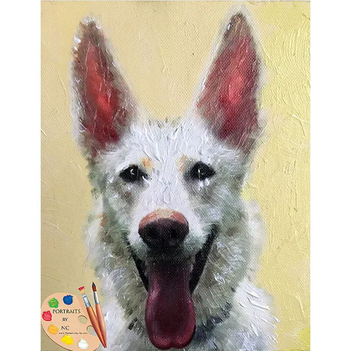 Portraits by NC Rings White German Shepherd Alsatian Dog Portrait