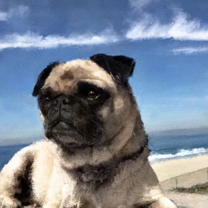 Pug by Beach Custom Painted Dog Portrait Portraits by NC Necklaces