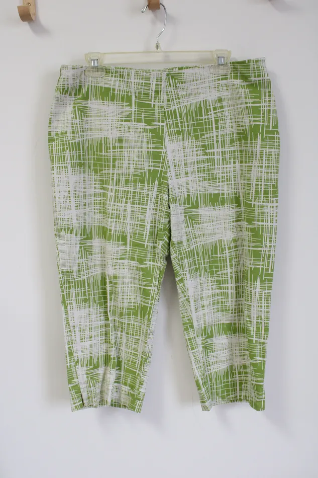 Rings Talbots Talbots Green White Stretch Capri Pant 14 Petite