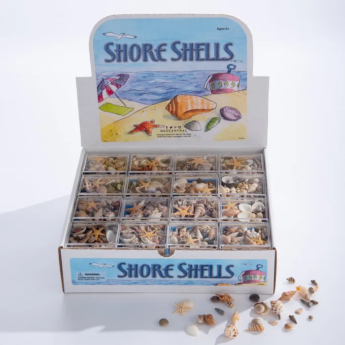 Shore Shells to Go GEOCENTRAL Earrings
