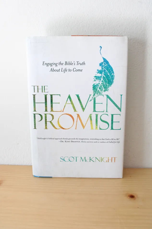 The Heaven Promise Engaging The Bibles Truth About Life To Come By Scott McKnight Jubilee Thrift Earrings
