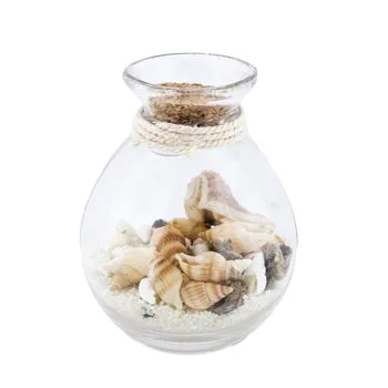 THEBEACHCOMBER Earrings Beachcombers Coastal Life Sand Shell Filled Potion Bottle THEBEACHCOMBER Earrings Beachcombers Coastal Life Sand Shell Filled Potion Bottle