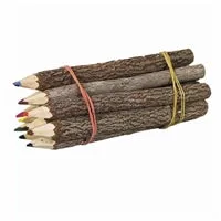 WORLDBUYERS Earrings Pencil Branch Colored 7